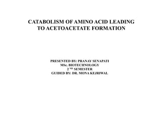 CATABOLISM OF AMINO ACID LEADING
TO ACETOACETATE FORMATION
PRESENTED BY: PRANAY SENAPATI
MSc. BIOTECHNOLOGY
2 ND SEMESTER
GUIDED BY: DR. MONA KEJRIWAL
 