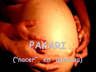 PAKARI
("nacer“, en quechua)
 