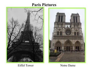 Paris Pictures Eiffel Tower Notre Dame 