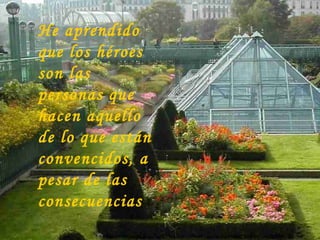 He aprendido
que los héroes
son las
personas que
hacen aquello
de lo que están
convencidos, a
pesar de las
consecuencias
 