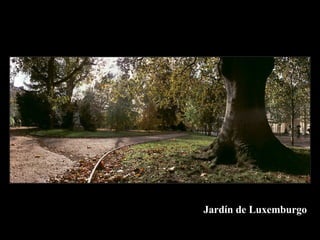 Jardín de Luxemburgo
