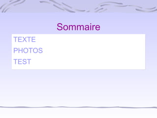 Sommaire
TEXTE
PHOTOS
TEST

 