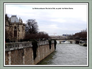 La Seine entoure l’Ile de la Cité, au pied de Notre Dame.
 