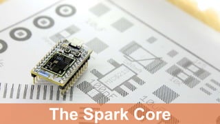 IoT Authentication 
1. Non-expiring pre-generated Access Token 
2. Access Token dynamically requested 
@Braintree_Dev @SeraAndroid 
 