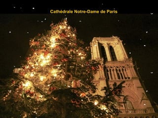 Cathédrale Notre-Dame de Paris 