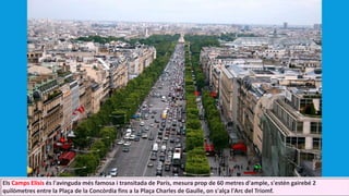 Els Camps Elísis és l'avinguda més famosa i transitada de París, mesura prop de 60 metres d'ample, s'estén gairebé 2
quilòmetres entre la Plaça de la Concòrdia fins a la Plaça Charles de Gaulle, on s'alça l'Arc del Triomf.
 