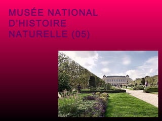 MUSÉE NATIONAL D’HISTOIRE NATURELLE (05) 