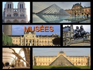 MUSÉES 