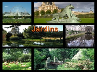 Jardins 