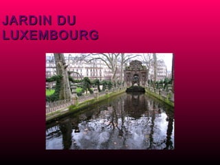 JARDIN DU LUXEMBOURG 