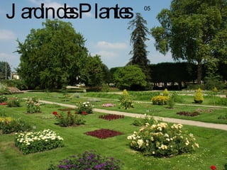 Jardin des Plantes 05 