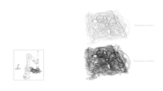 Morphologies Lineaires
Morphologies Feed-Back
 