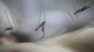 Fran?ois Roche | mythomaniaS