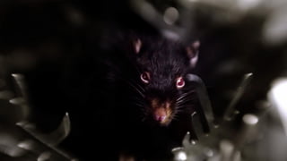 Fran?ois Roche | mythomaniaS
