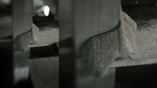 Fran?ois Roche | mythomaniaS