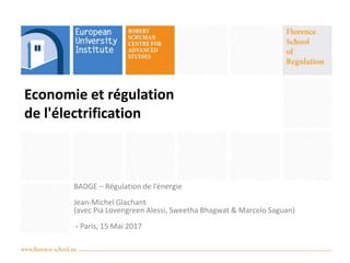 Economie et régulation
de l'électrification
BADGE – Régulation de l’énergie
Jean-Michel Glachant
(avec Pia Lovengreen Alessi, Sweetha Bhagwat & Marcelo Saguan)
- Paris, 15 Mai 2017
 