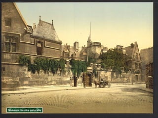 Museum histoire naturelle