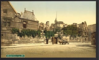 Museum histoire naturelle 