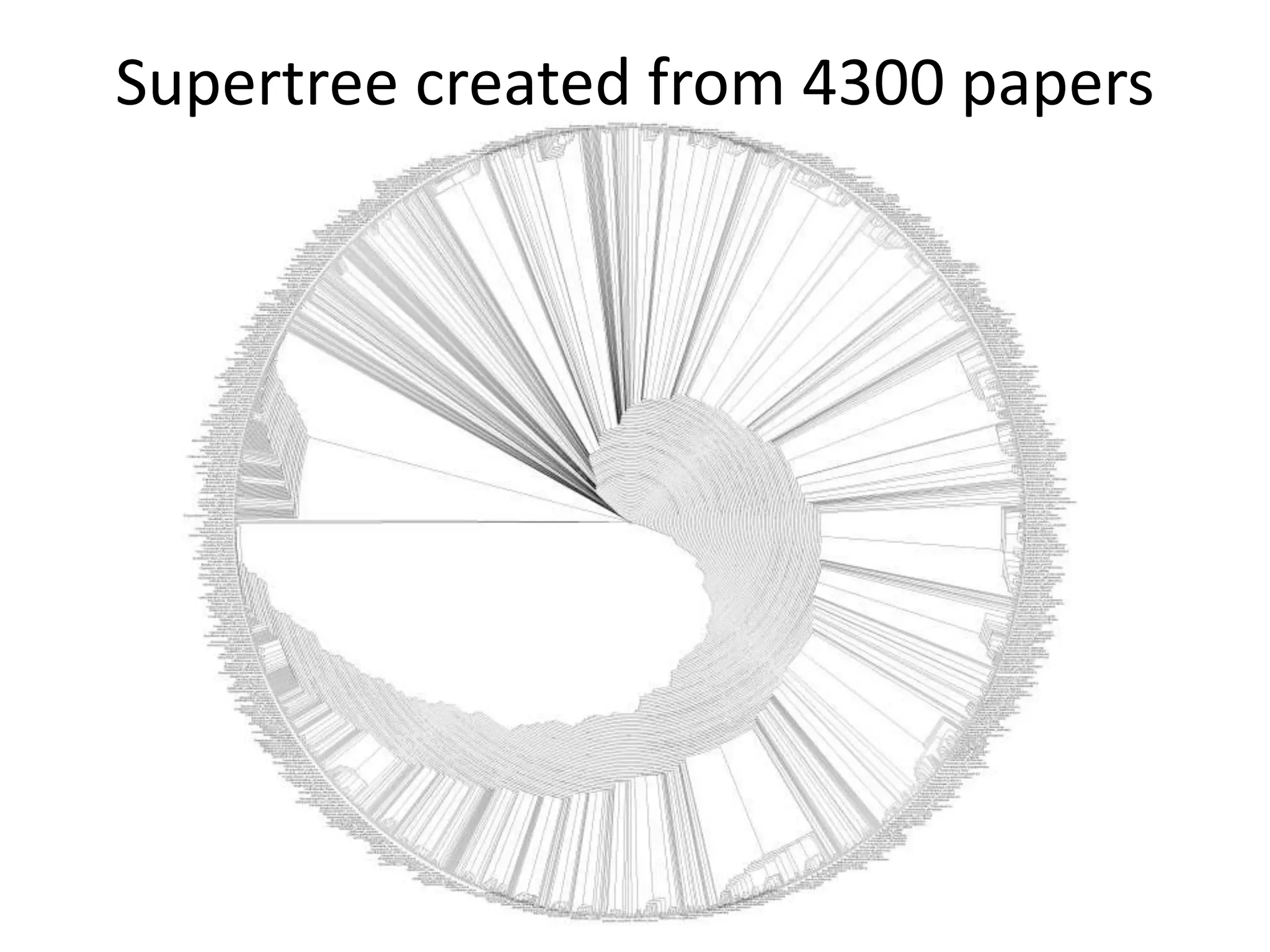 Supertree created from 4300 papers
 