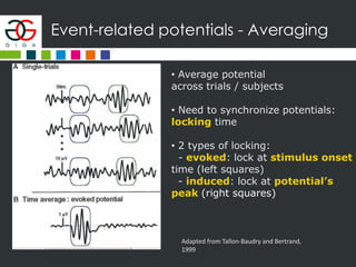 Event-related potentials - Averaging
Adapted from Tallon-Baudry and Bertrand,
1999
• Average potential
across trials / subjects
• Need to synchronize potentials:
locking time
• 2 types of locking:
- evoked: lock at stimulus onset
time (left squares)
- induced: lock at potential’s
peak (right squares)
 