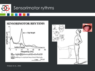 Sensorimotor rythms
Wolpaw et al., 2002
 