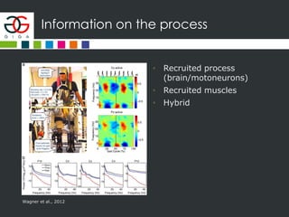 Information on the process
• Recruited process
(brain/motoneurons)
• Recruited muscles
• Hybrid
Wagner et al., 2012
 