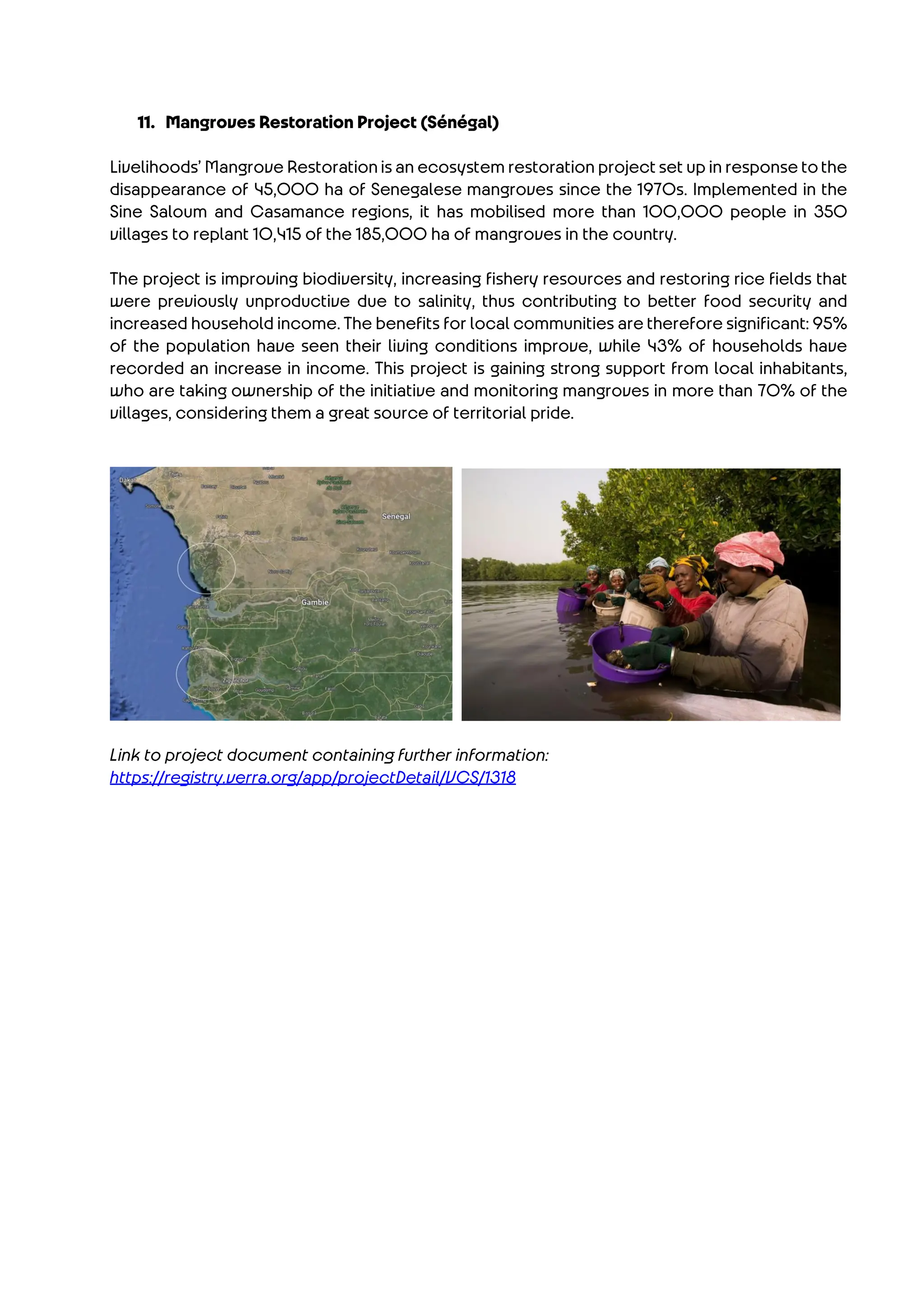 Paris 2024 carbon contribution projects.pdf