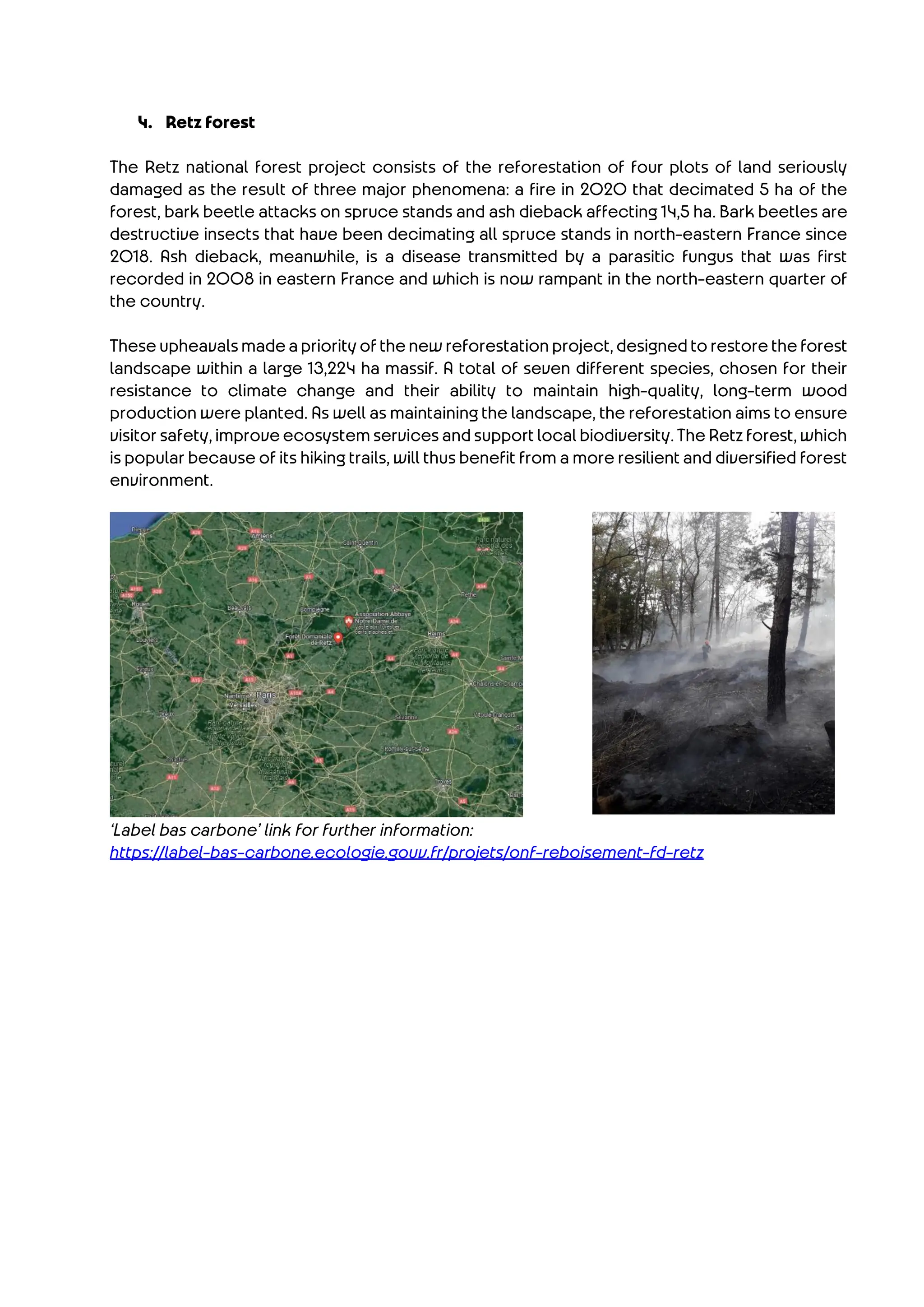 Paris 2024 carbon contribution projects.pdf