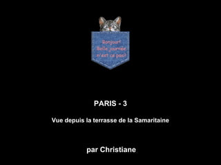 PARIS - 3
Vue depuis la terrasse de la Samaritaine
par Christiane
 