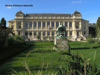 Musee d’Histoire Naturelle