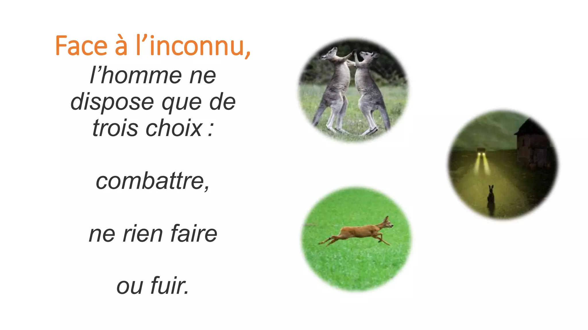 Face à l’inconnu,
l’homme ne
dispose que de
trois choix :
combattre,
ne rien faire
ou fuir.
 