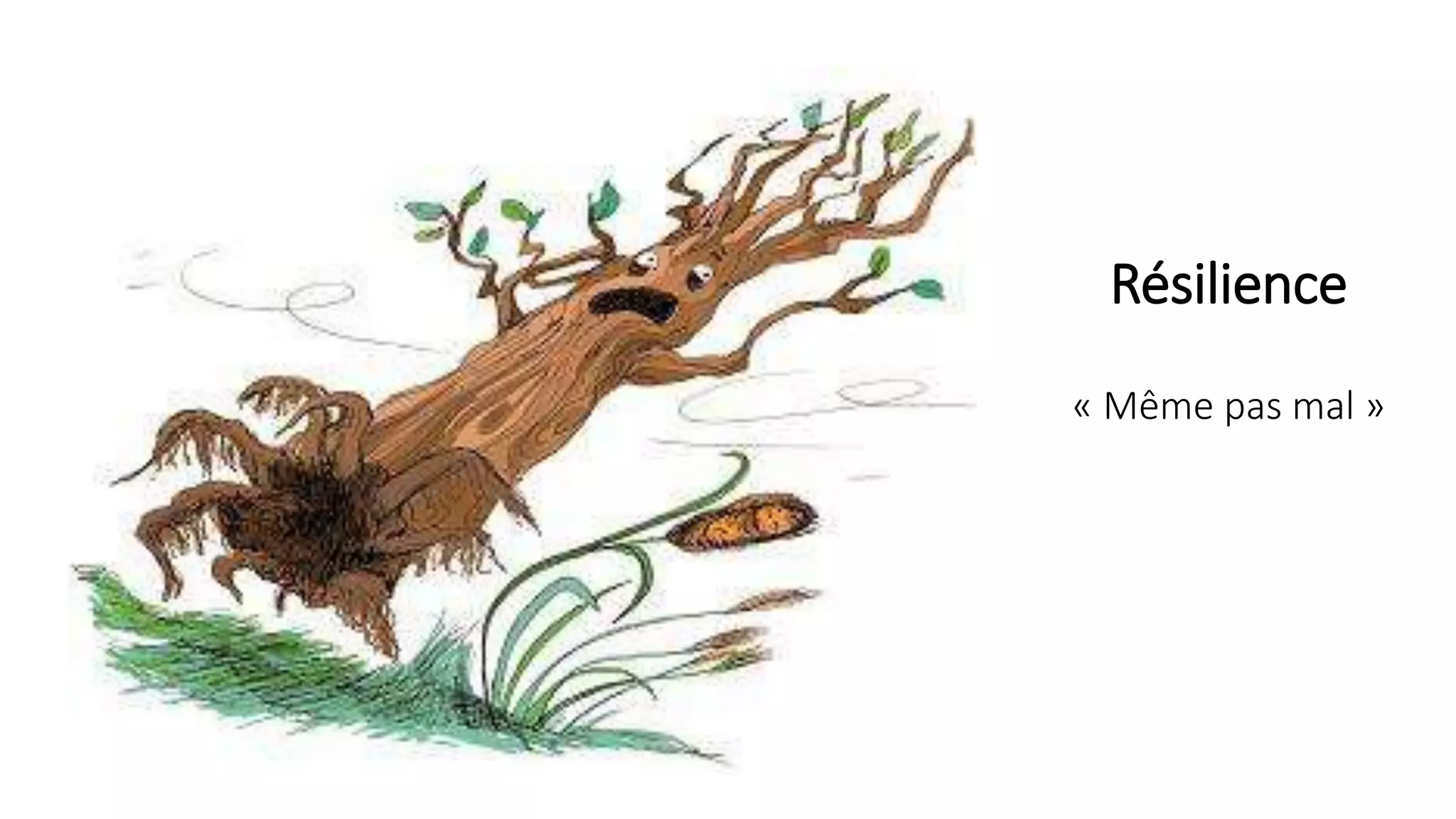 Résilience
« Même pas mal »
 