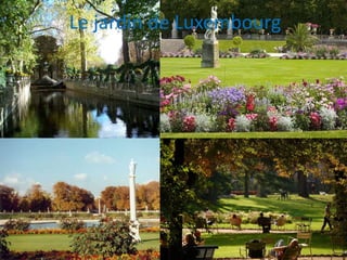 Le jardin de Luxembourg