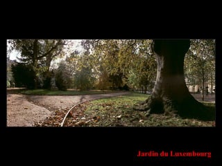 Jardin du Luxembourg
 