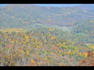 Paris' essence of fall