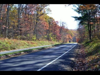 Paris' essence of fall