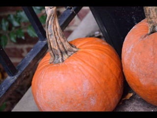 Paris' essence of fall
