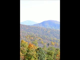 Paris' essence of fall