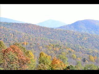 Paris' essence of fall