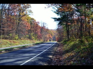 Paris' essence of fall