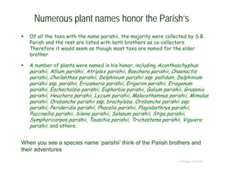 Numerous plant names honor the Parish’s
 Of all the taxa with the name parishii, the majority were collected by S.B.
Parish and the rest are listed with both brothers as co-collectors.
Therefore it would seem as though most taxa are named for the elder
brother
 A number of plants were named in his honor, including Acanthoschyphus
parishii, Allium parishii, Atriplex parishii, Boechera parishii, Chaenactis
parishii, Cheilanthes parishii, Delphinium parishii ssp. pallidum, Delphinium
parishii ssp. parishii, Ericameria parishii, Erigeron parishii, Eriogonum
parishii, Eschscholzia parishii, Euphorbia parishii, Galium parishii, Grusonia
parishii, Heuchera parishii, Lycium parishii, Malacothamnus parishii, Mimulus
parishii, Orobanche parishii ssp. brachyloba, Orobanche parishii ssp.
parishii, Perideridia parishii, Phacelia parishii, Plagiobothrys parishii,
Puccinellia parishii, Silene parishii, Solanum parishii, Stipa parishii,
Symphoricarpos parishii, Tauschia parishii, Trichostema parishii, Viguiera
parishii, and others.
© Project SOUND
When you see a species name ‘parishii’ think of the Parish brothers and
their adventures
 