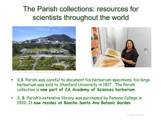 The Parish collections: resources for
scientists throughout the world
© Project SOUND
 S.B. Parish was careful to document his herbarium specimens; his large
herbarium was sold to Stanford University in 1917. The Parish
collection is now part of CA Academy of Sciences herbarium
 S. B. Parish’s extensive library was purchased by Pomona College in
1920. It now resides at Rancho Santa Ana Botanic Garden
https://www.calacademy.org/scientists/academy-fellows
 