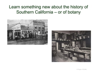 Learn something new about the history of
Southern California – or of botany
© Project SOUND
 