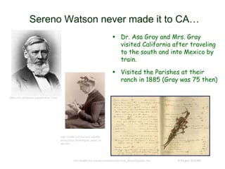 Sereno Watson never made it to CA…
 Dr. Asa Gray and Mrs. Gray
visited California after traveling
to the south and into Mexico by
train.
 Visited the Parishes at their
ranch in 1885 (Gray was 75 then)
© Project SOUNDhttp://botlib.huh.harvard.edu/libraries/Gray_Bicent/graybio.htm
http://botlib.huh.harvard.edu/libr
aries/Gray_Bicent/gray_west_co
ast.htm
https://en.wikipedia.org/wiki/Asa_Gray
 
