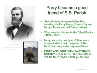 Parry became a good
friend of S.B. Parish
 Several plants are named after him,
including the Parry Pinyon, Parry's Lily and
Parry's Penstemon and Parry’s Nolina
 Was an early collector in the Inland Empire
– 1876-1880’s
 Parry, wintering nearby at Colton, was a
frequent visitor and companion of the
Parish’s on many collecting expeditions.
 PARRY AND SOUTHERN CALIFORNIA
BOTANY - S. B. Parish, The Plant World
Vol. 12, No. 7 (JULY, 1909), pp. 158-162
© Project SOUND
https://en.wikipedia.org/wiki/Char
les_Christopher_Parry
 