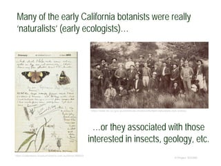 Many of the early California botanists were really
‘naturalists’ (early ecologists)…
© Project SOUND
https://collections.museumvictoria.com.au/items/368920
…or they associated with those
interested in insects, geology, etc.
https://www.slv.vic.gov.au/contribute-create/vicfix/field-naturalists-club-victoria
 