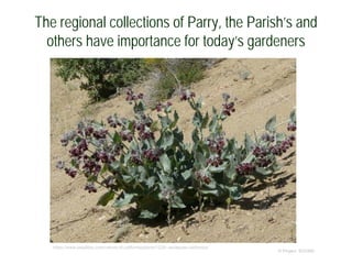 The regional collections of Parry, the Parish’s and
others have importance for today’s gardeners
© Project SOUND
https://www.laspilitas.com/nature-of-california/plants/1229--asclepias-californica
 