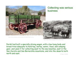Parish had built a specially strong wagon, with a low-hung body and
broad tires adequate to hold hay, barley, water, food, and camping
gear, and used it for collecting west to the sea beaches, east in the
San Jacinto and San Bernardino mountains, and into the deserts both
north and east. © Project SOUND
https://www.pinterest.com/pin/29906784999027648/?lp=true
http://www.westboundstage.com/museum.html
Collecting was serious
business
 