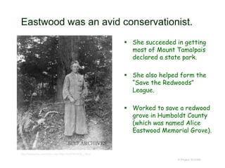 Eastwood was an avid conservationist.
 She succeeded in getting
most of Mount Tamalpais
declared a state park.
 She also helped form the
“Save the Redwoods”
League.
 Worked to save a redwood
grove in Humboldt County
(which was named Alice
Eastwood Memorial Grove).
© Project SOUND
http://islapedia.com/index.php?title=EASTWOOD,_Alice
 
