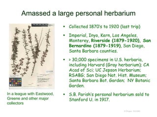 Amassed a large personal herbarium
 Collected 1870’s to 1920 (last trip)
 Imperial, Inyo, Kern, Los Angeles,
Monterey, Riverside (1879-1920), San
Bernardino (1879-1919), San Diego,
Santa Barbara counties.
 > 30,000 specimens in U.S. herbaria,
including Harvard (Gray herbarium); CA
Acad of Sci; UC Jepson Herbarium;
RSABG; San Diego Nat. Hist. Museum;
Santa Barbara Bot. Garden; NY Botanic
Garden.
 S.B. Parish’s personal herbarium sold to
Stanford U. in 1917.
© Project SOUND
In a league with Eastwood,
Greene and other major
collectors
 